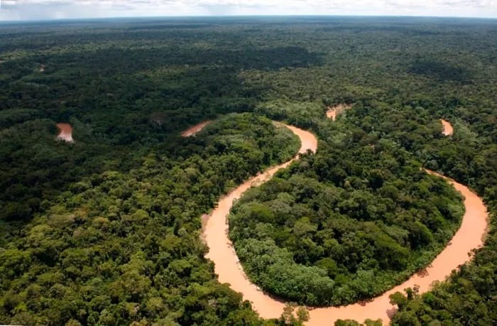 Minam: carretera Pucallpa-Cruzeiro do Sul afectaría un parque nacional y una reserva PIACI