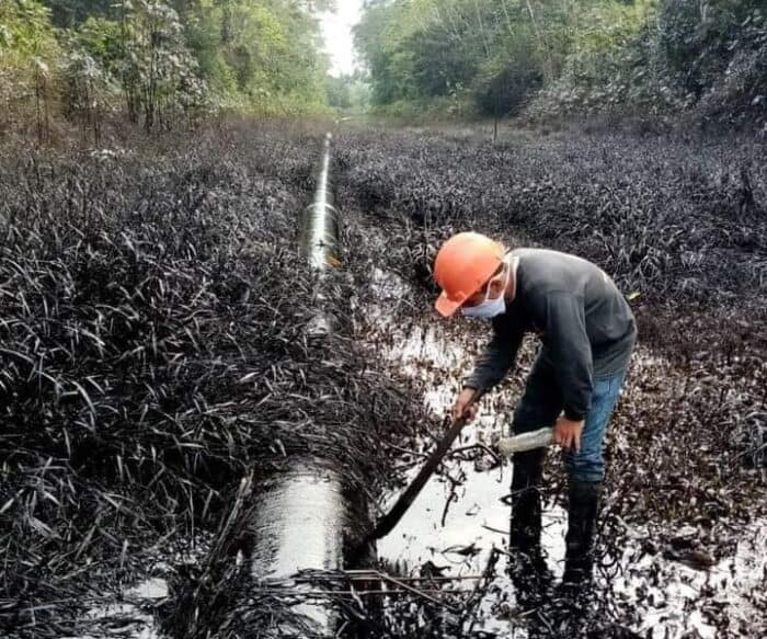 OEFA reportó derrames de hidrocarburos en Oleoducto Norperuano en Loreto y en carretera en Ucayali