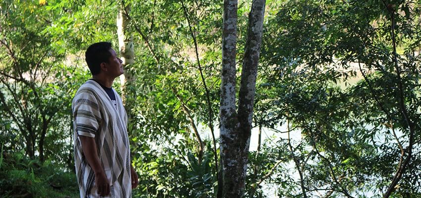 AIDESEP: Solicitan implementación de medidas de protección en salvaguarda de los derechos de los defensores de la Amazonía