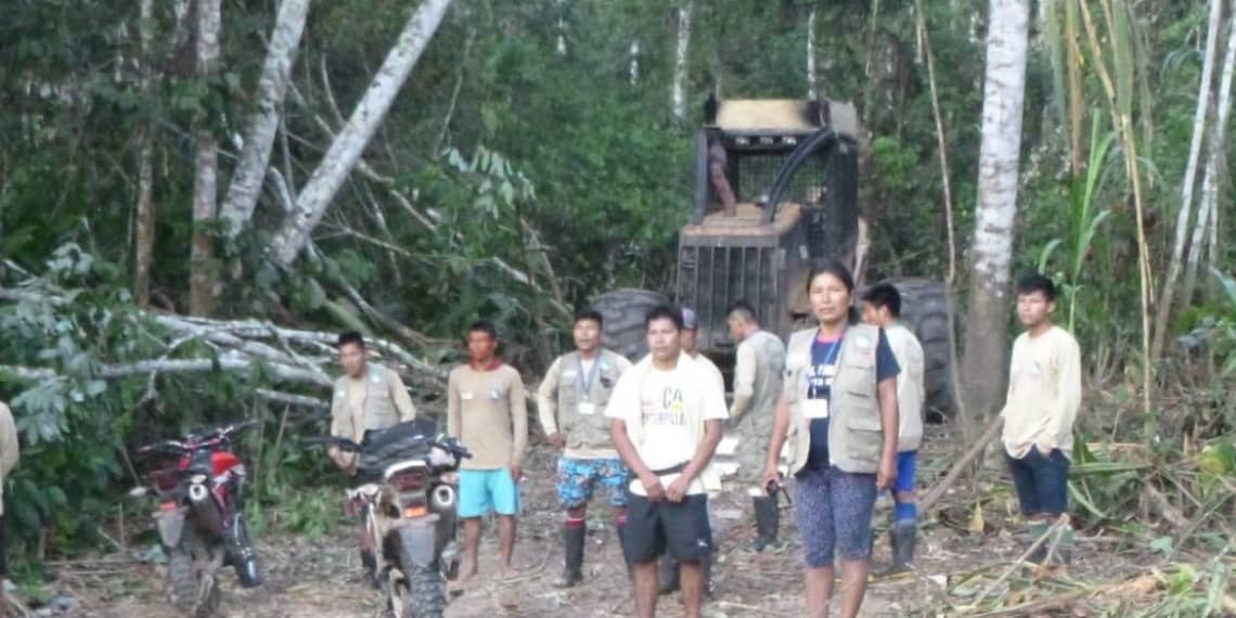 Ucayali: Acusan a madereras de invadir y contaminar a comunidad indígena